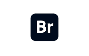 Adobe Bridge 2025 (15.1.2.737.0) 特别版 - 33Share-PJ blog