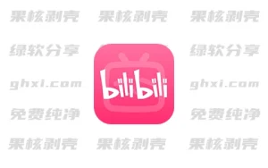 Android 哔哩哔哩 v3.19.2 谷歌(Google Play)版 – 33Share-PJ blog