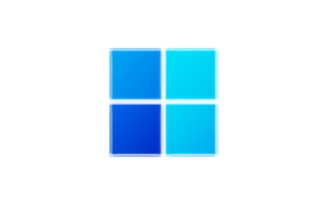 WhyNotWin11(win11检测工具) v2.7.0.0 – 33Share-PJ blog